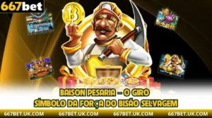BaiSon Pesaria